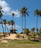 Coqueiros na praia de Arembepe